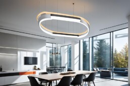 suspension luminaire